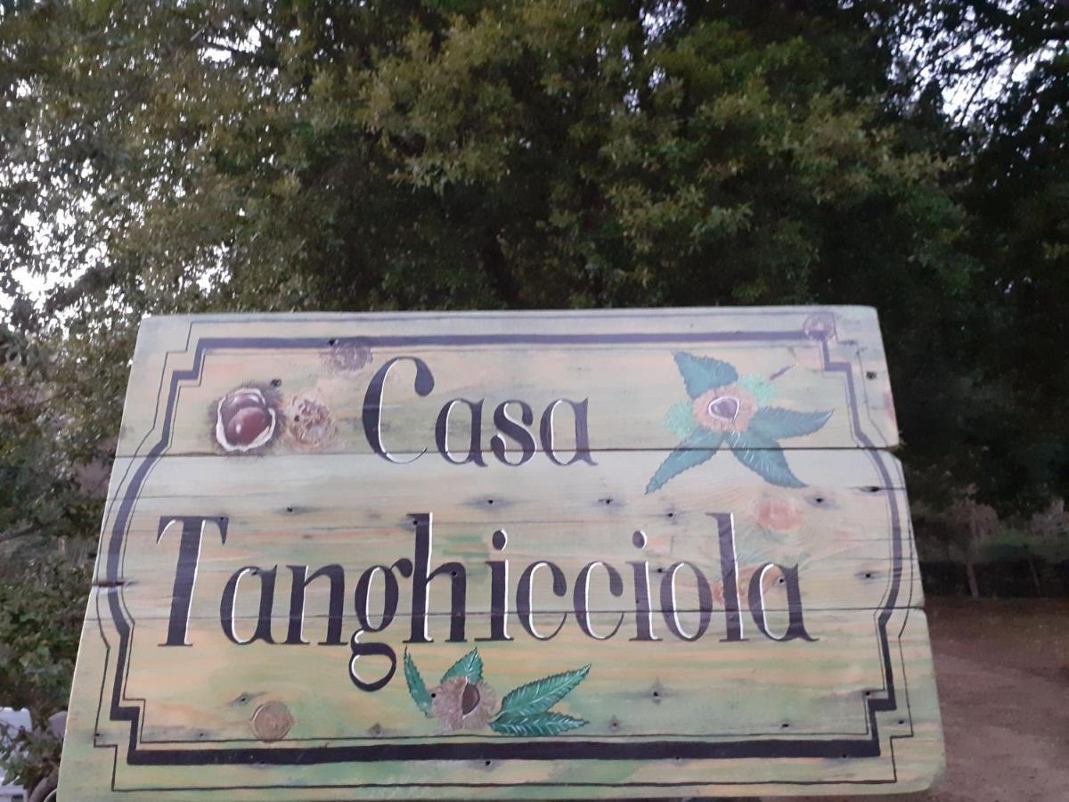 Апартаменты Casa Tanghicciola Левие Экстерьер фото